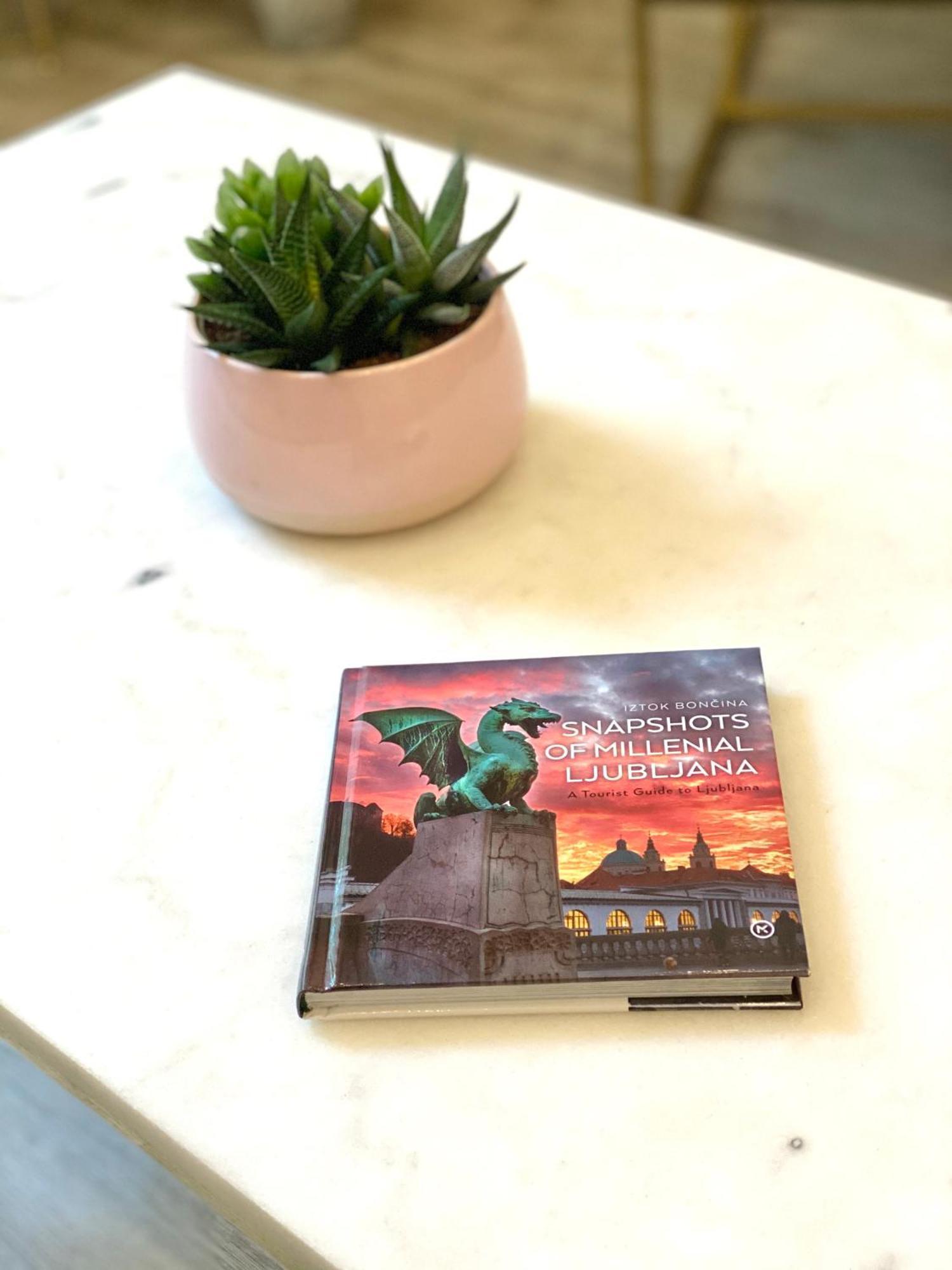 Jungle Loft - Central/Free Parking Λιουμπλιάνα Εξωτερικό φωτογραφία