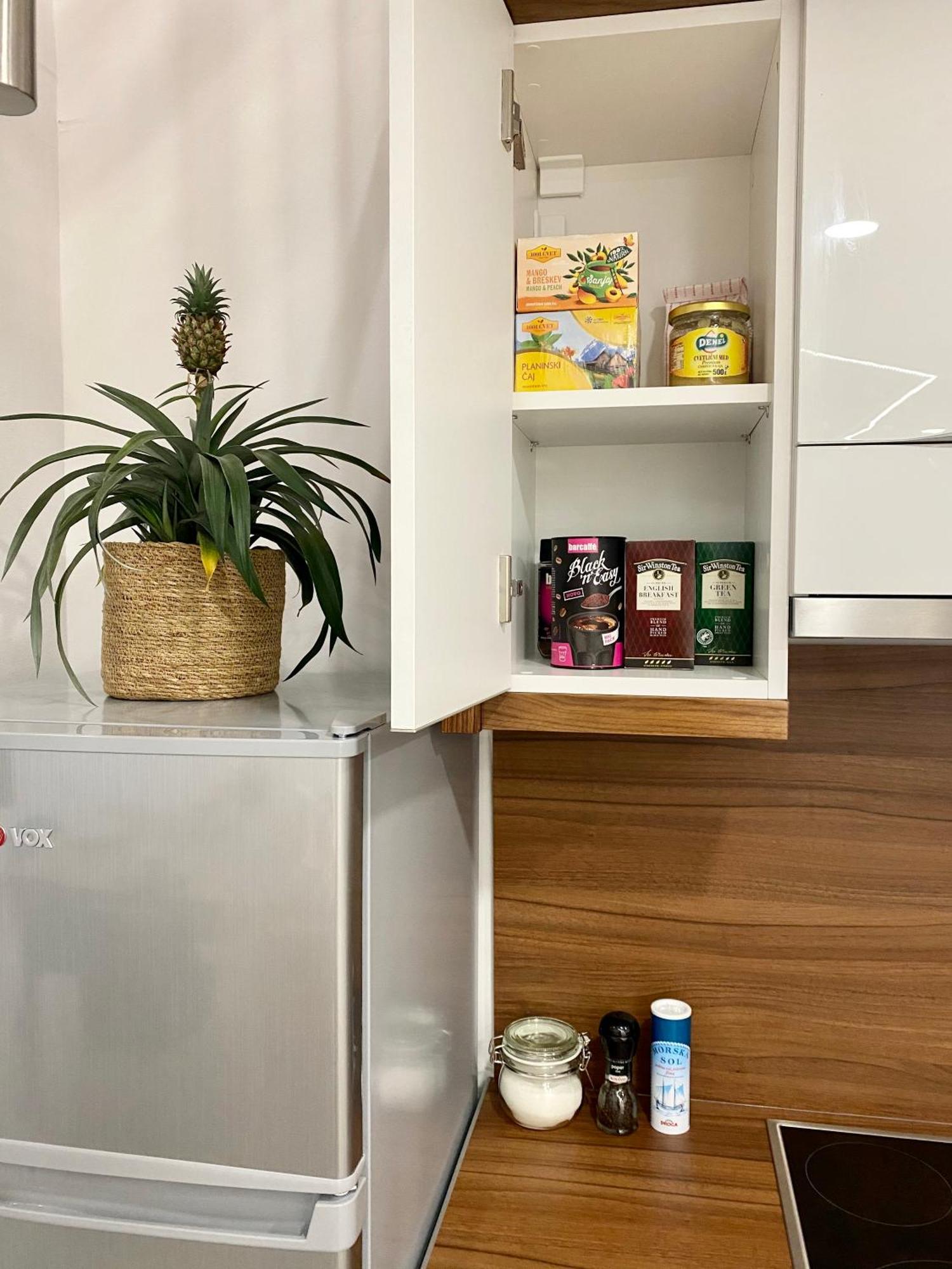 Jungle Loft - Central/Free Parking Λιουμπλιάνα Εξωτερικό φωτογραφία