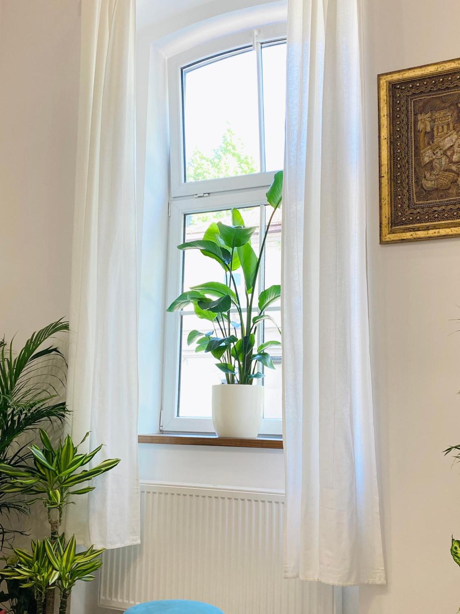 Jungle Loft - Central/Free Parking Λιουμπλιάνα Εξωτερικό φωτογραφία