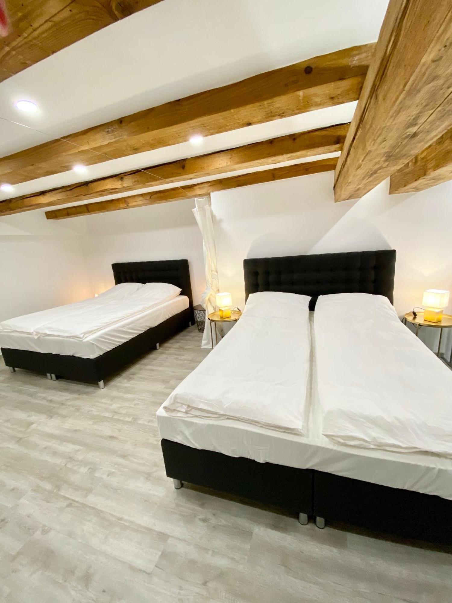 Jungle Loft - Central/Free Parking Λιουμπλιάνα Εξωτερικό φωτογραφία