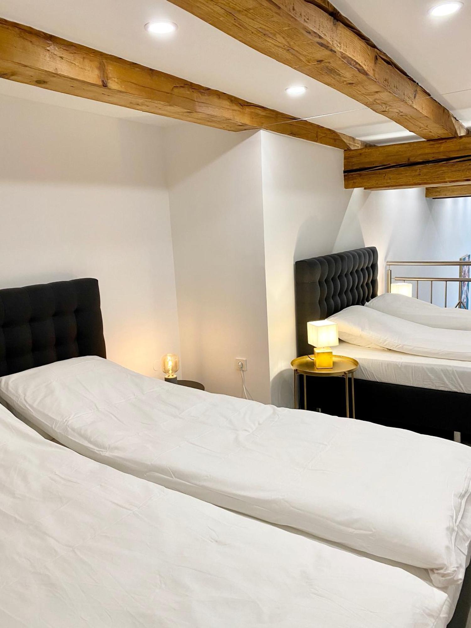 Jungle Loft - Central/Free Parking Λιουμπλιάνα Εξωτερικό φωτογραφία
