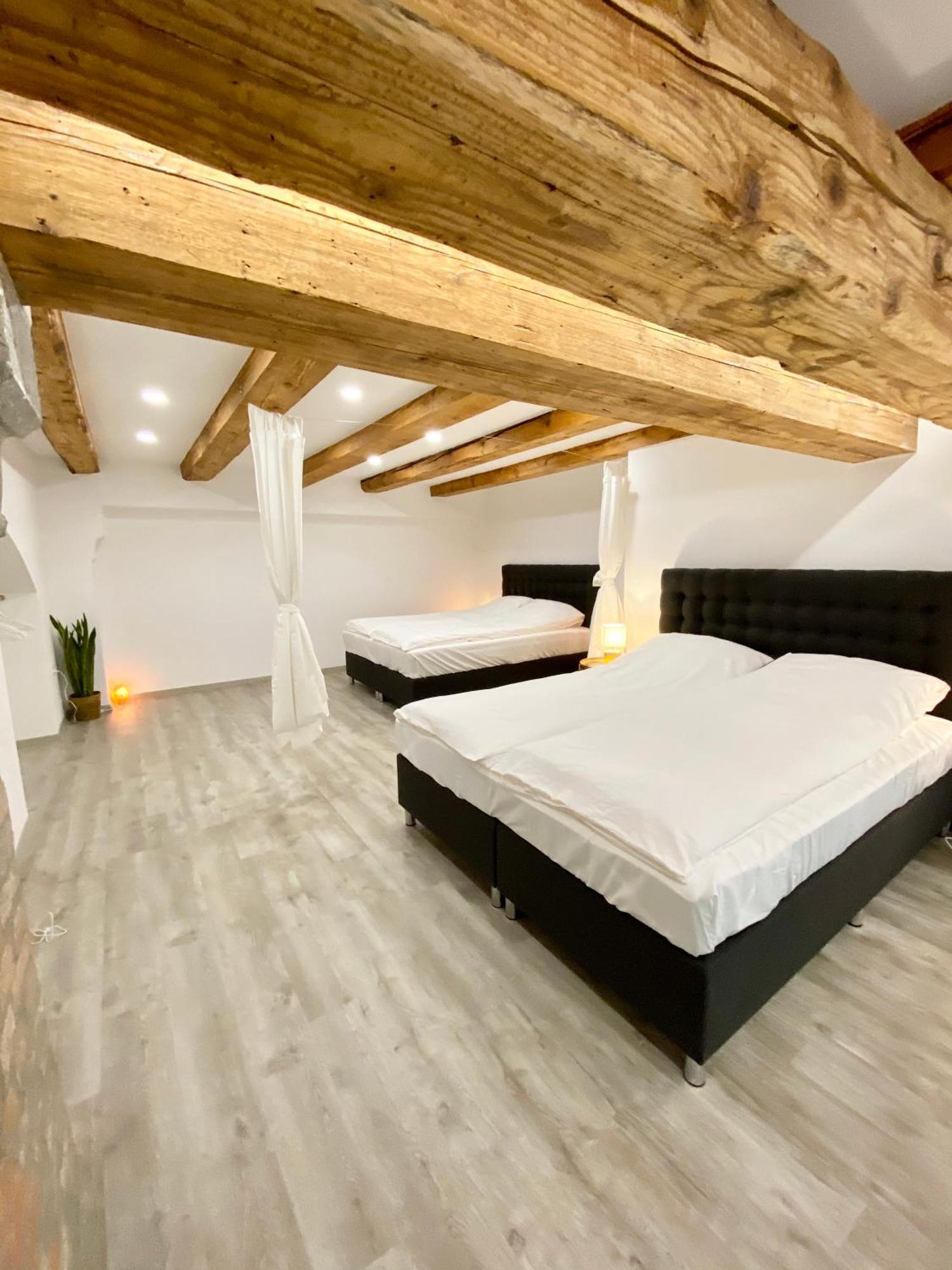 Jungle Loft - Central/Free Parking Λιουμπλιάνα Εξωτερικό φωτογραφία